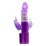 Vibrador Rotador Baile Crisonia (BL-Crisonia) - Imagen 2