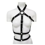 Arnes Pectoral Femenino (S-042)