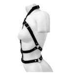 Arnes Pectoral Femenino (S-042) - Imagen 2