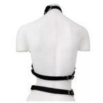 Arnes Pectoral Femenino (S-042) - Imagen 3