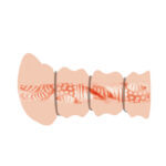 Masturbador Crazy Bull Rossi Flesh con 3 anillos de presion (MA-CB-Rossi) - Imagen 4